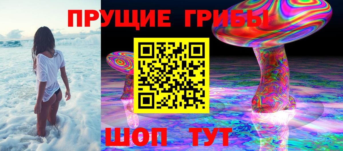 Псилоцибиновые грибы мицелий Ишим